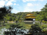 /album/fotogaleria/el-lago-dorado-derechos-reservados-jpg/